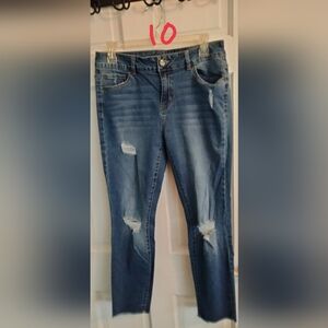 d. jeans Women's Boyfriend Jeans in Light Blue